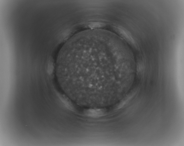 X0000112150367200908141219