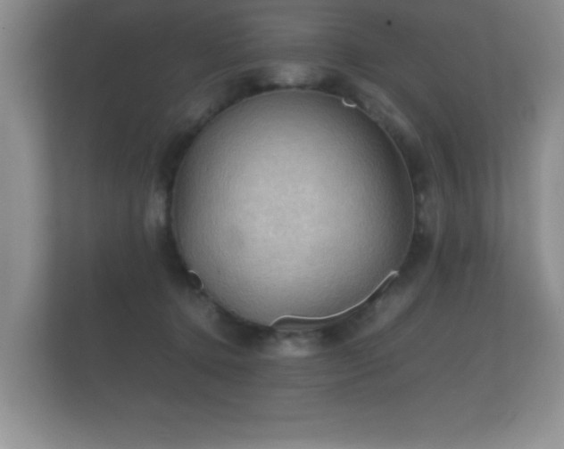 X0000112150368200908141219