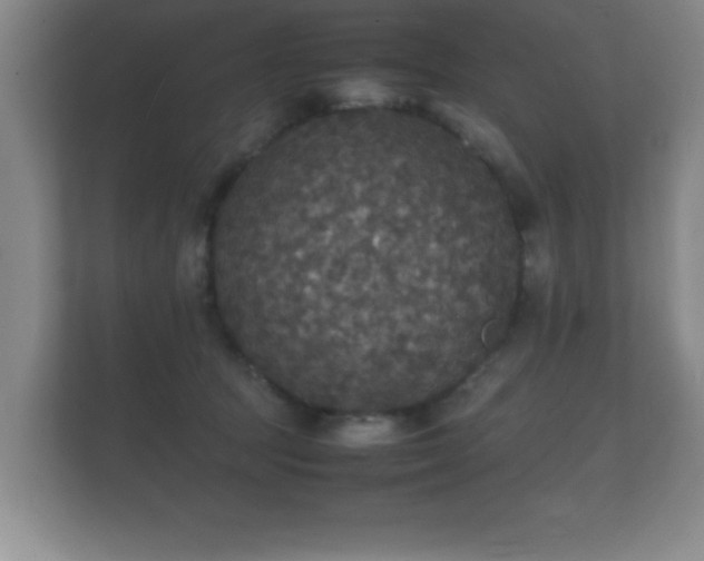 X0000112150369200908141219