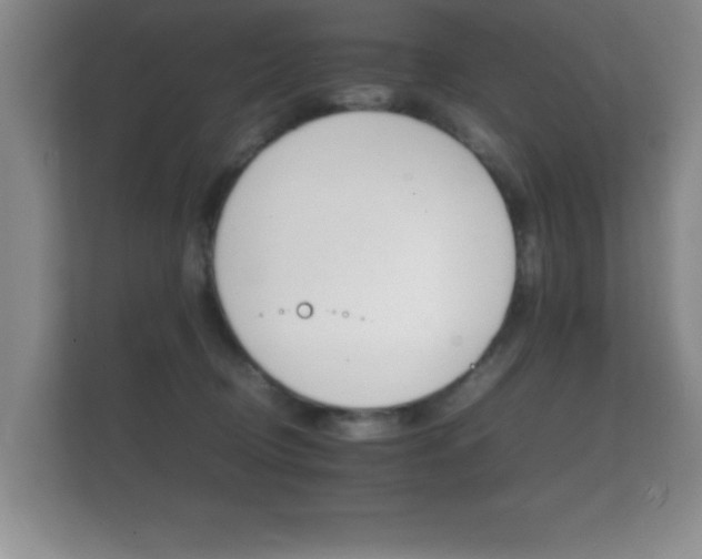 X0000112150370200908141219