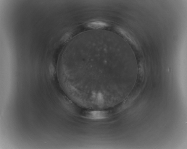 X0000112150371200908141219