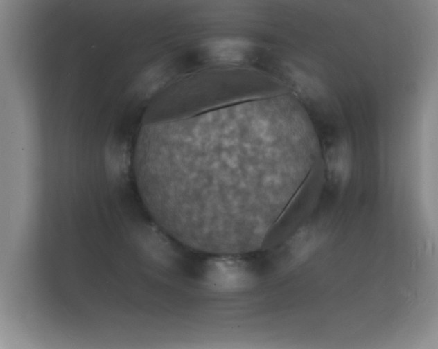X0000112150372200908141219