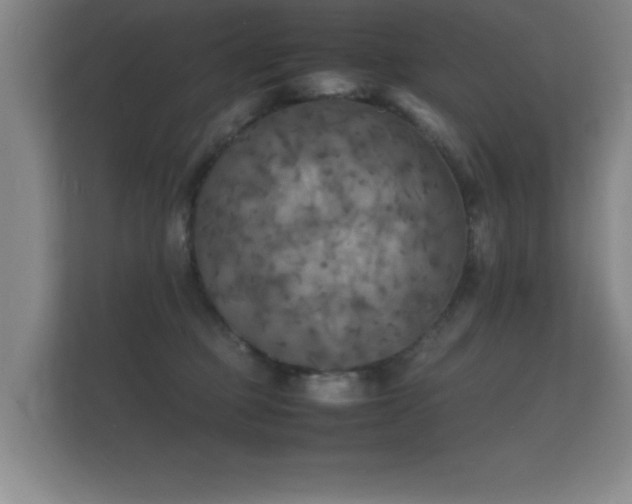 X0000112150373200908141219