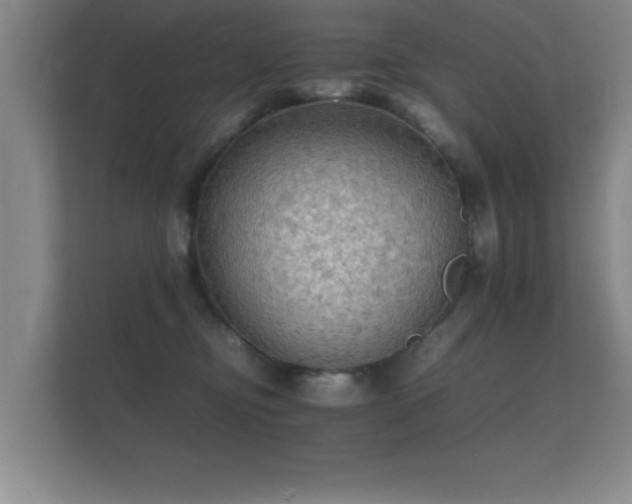 X0000112150374200908141219
