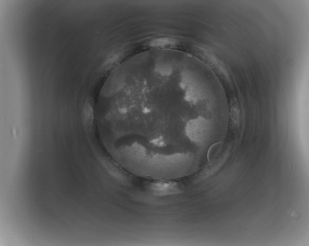 X0000112150375200908141219