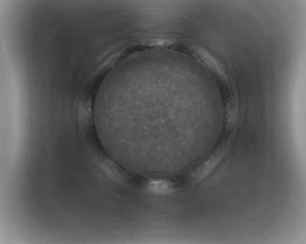 X0000112150376200908141219
