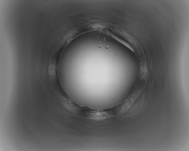 X0000112150379200908141219