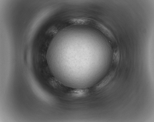 X0000112150381200908141219
