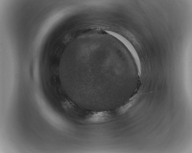 X0000112150382200908141219