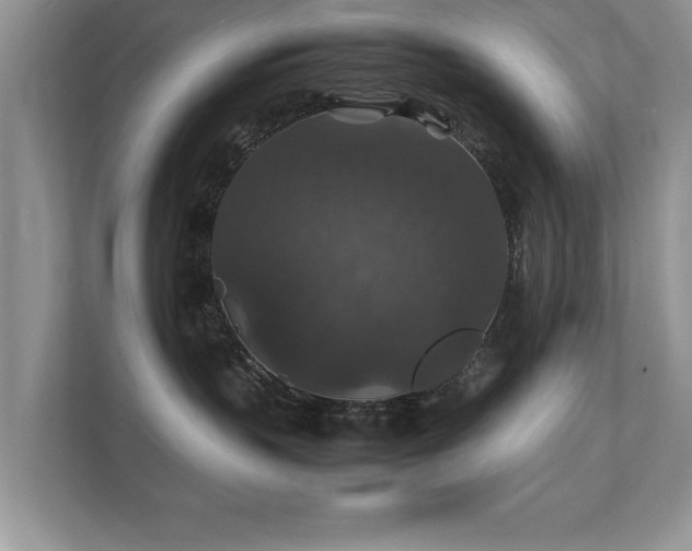 X0000112150383200908141219