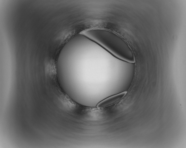 X0000112150384200908141219