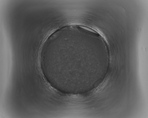 X0000112150385200908141219