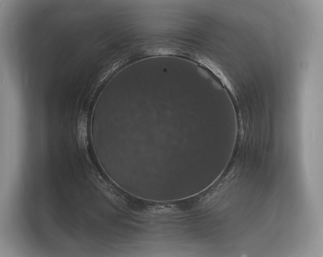 X0000112150386200908141219
