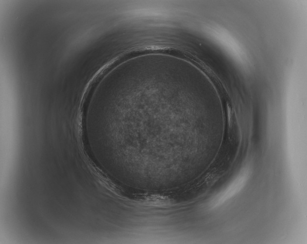 X0000112150387200908141219
