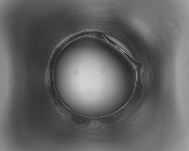 X0000112150388200908141219