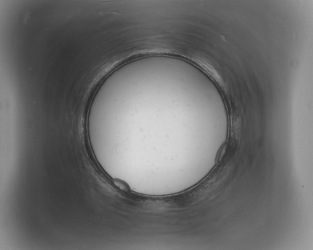 X0000112150389200908141219