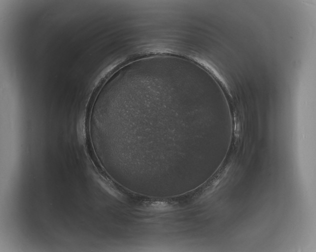 X0000112150390200908141219