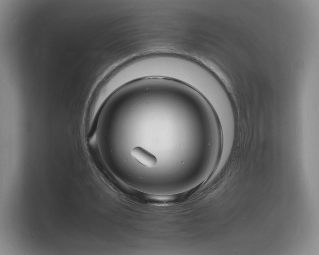 X0000112150391200908141219