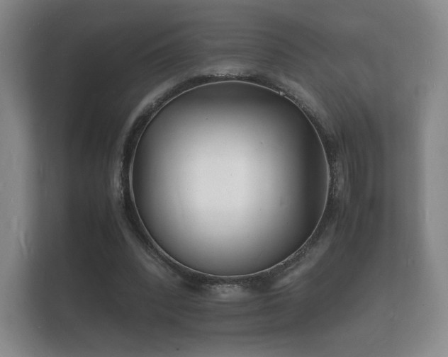 X0000112150392200908141219