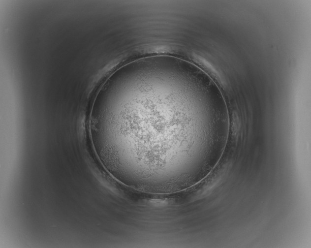 X0000112150394200908141219