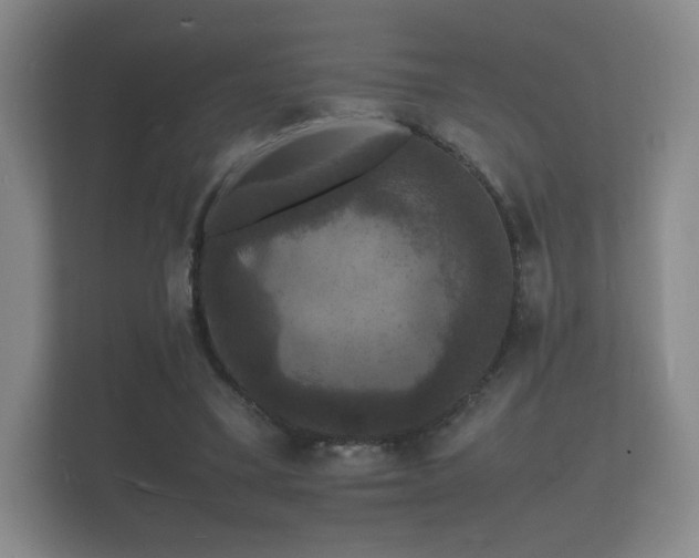 X0000112150395200908141219