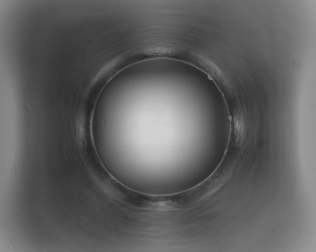 X0000112150396200908141219