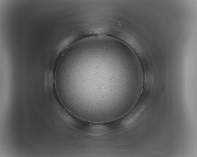 X0000112150397200908141219