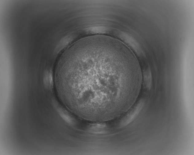 X0000112150398200908141219