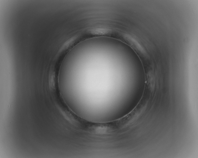 X0000112150400200908141218