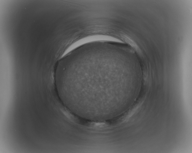 X0000112150401200908141218