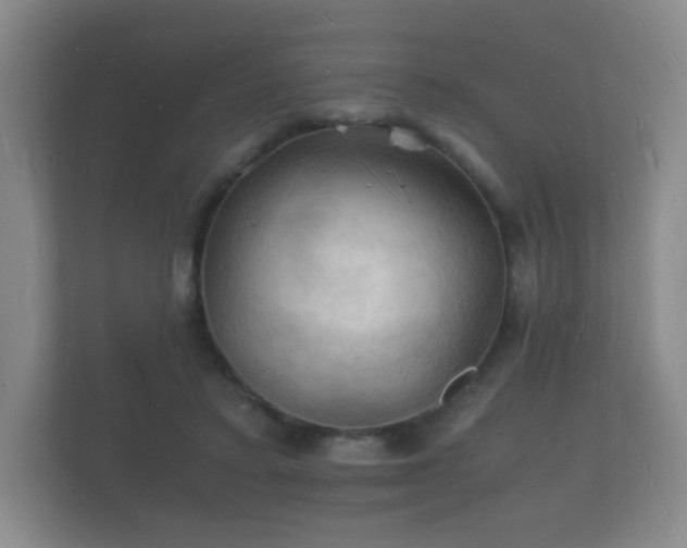 X0000112150403200908141218