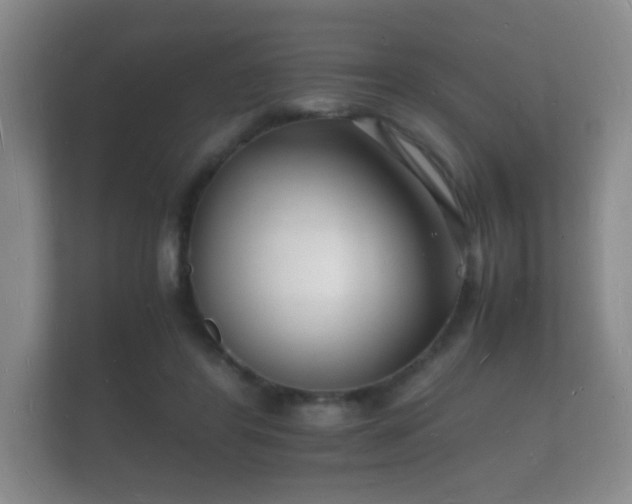X0000112150404200908141218