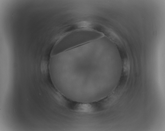 X0000112150409200908141218