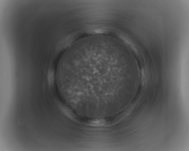 X0000112150410200908141218