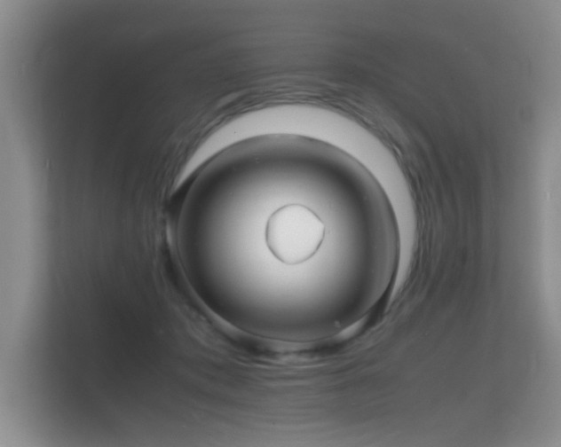 X0000112150413200908141218