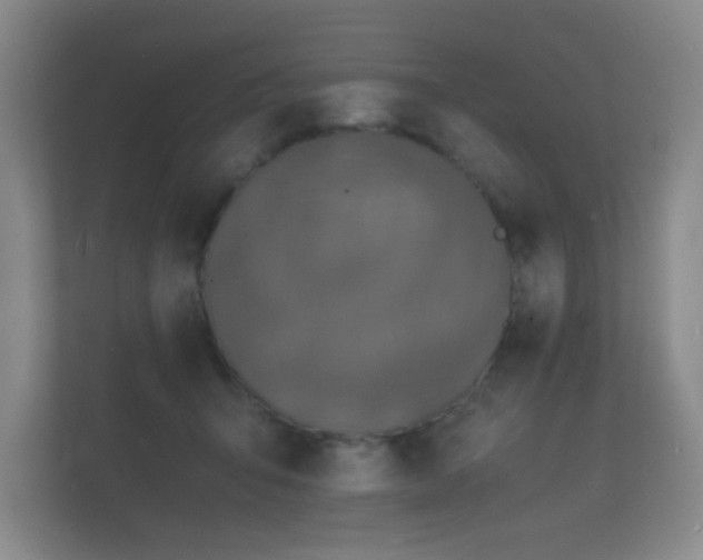 X0000112150415200908141218