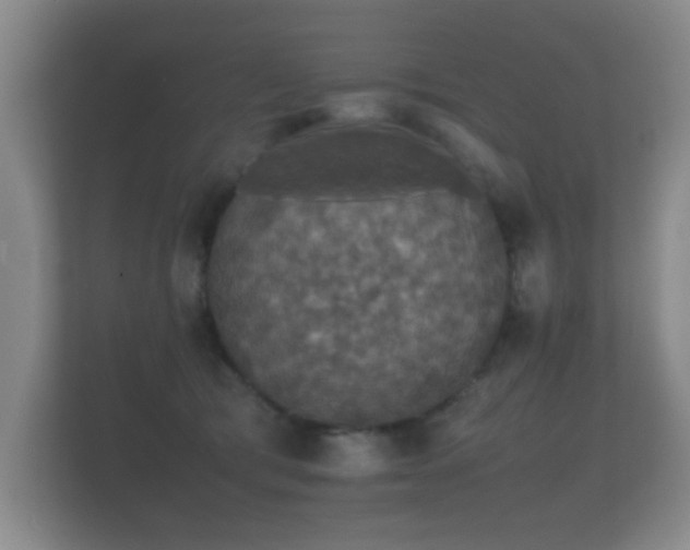 X0000112150417200908141218