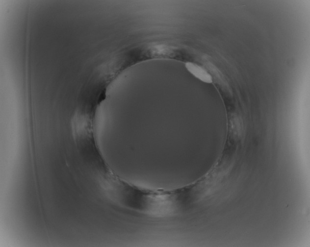 X0000112150419200908141218