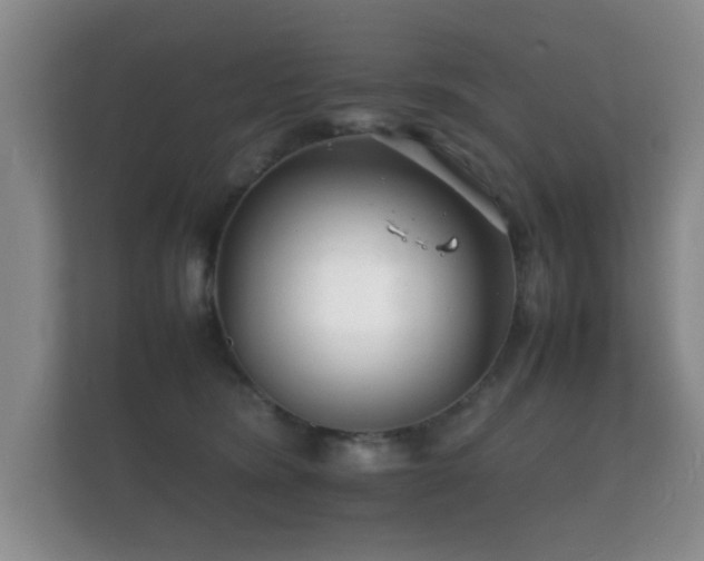 X0000112150420200908141218