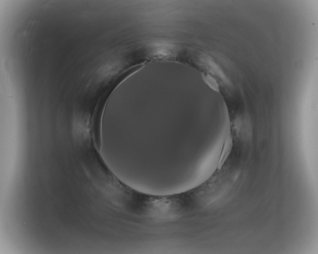 X0000112150423200908141218