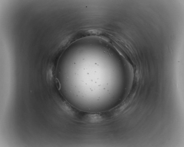 X0000112150424200908141218