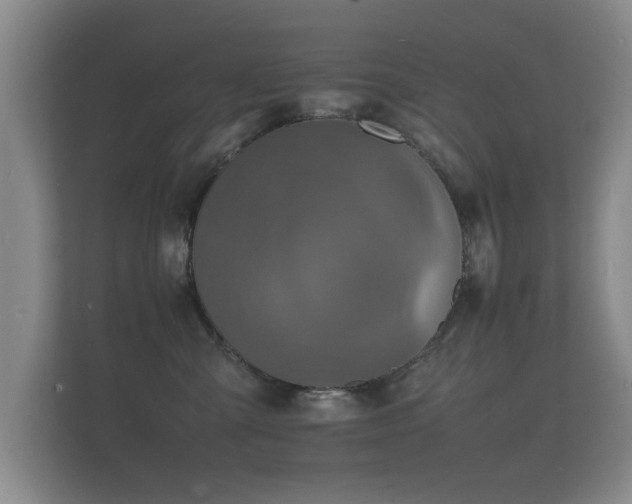X0000112150427200908141218