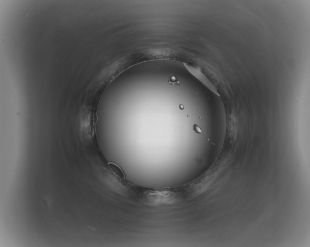 X0000112150428200908141218