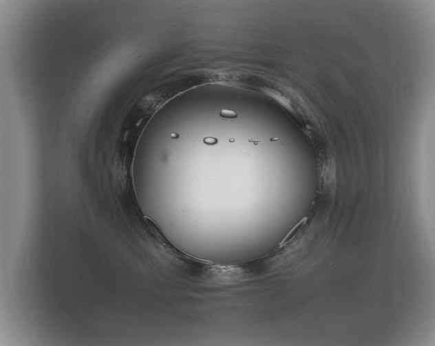 X0000112150429200908141218