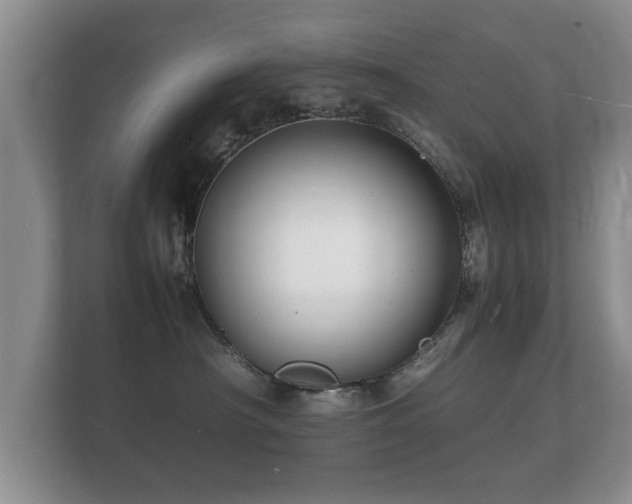 X0000112150430200908141218