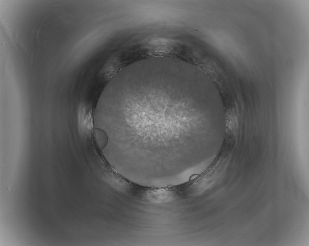 X0000112150431200908141218