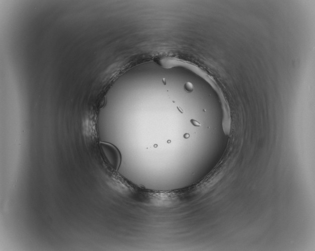 X0000112150432200908141218