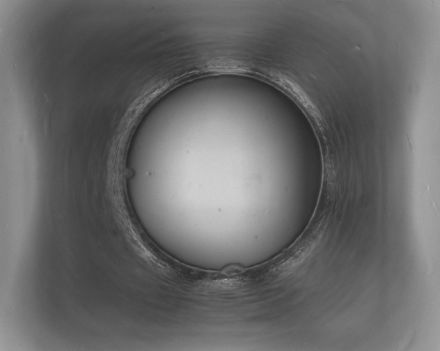 X0000112150433200908141217