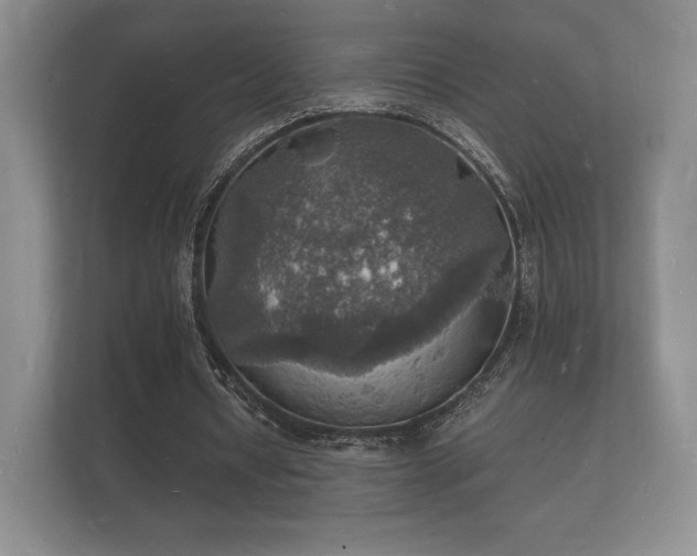 X0000112150434200908141217