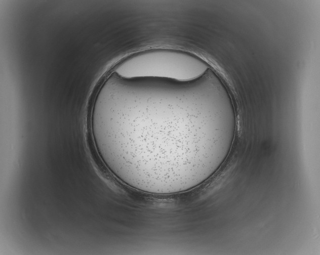 X0000112150438200908141218